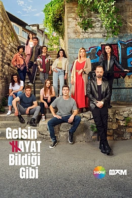 Жизнь как она есть постер