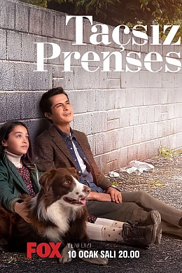 Принцесса без короны постер