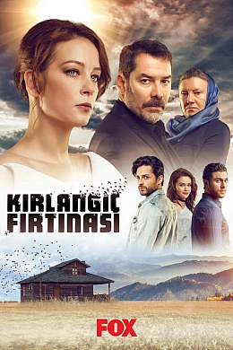 Шторм ласточки постер