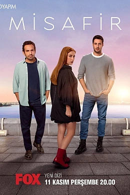 Гостья постер