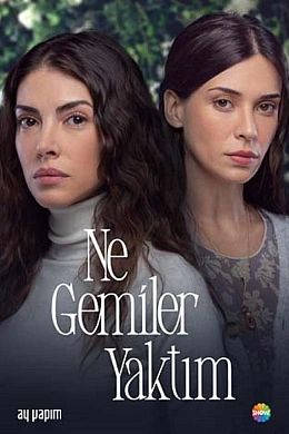 Какие корабли я сжёг постер