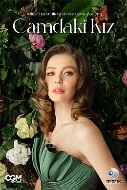 Девушка за стеклом постер