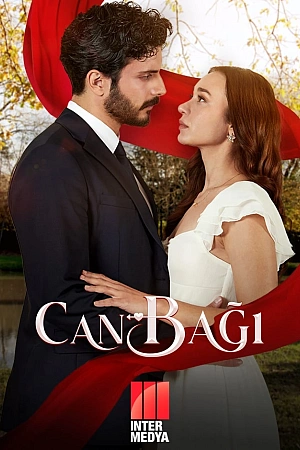 Струны любви постер