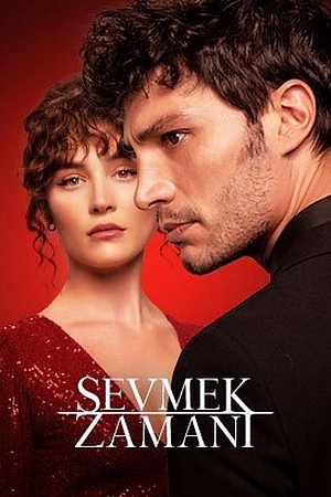 Время любить постер