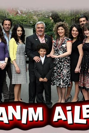 Дорогая моя семья постер