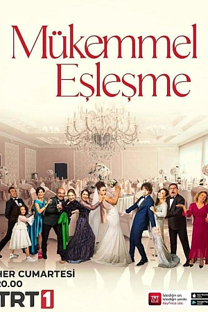 Идеальное совпадение постер