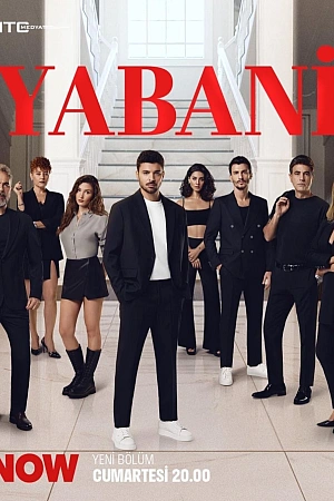 Дикий постер