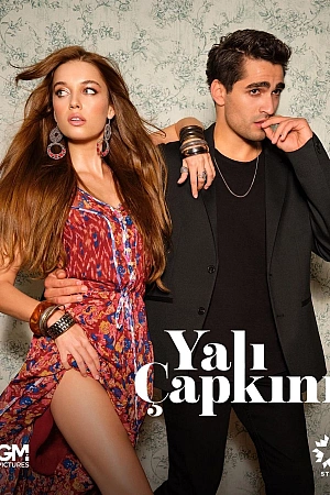 Зимородок постер