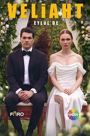 Наследник постер