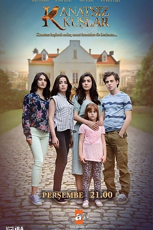 Птицы без крыльев постер